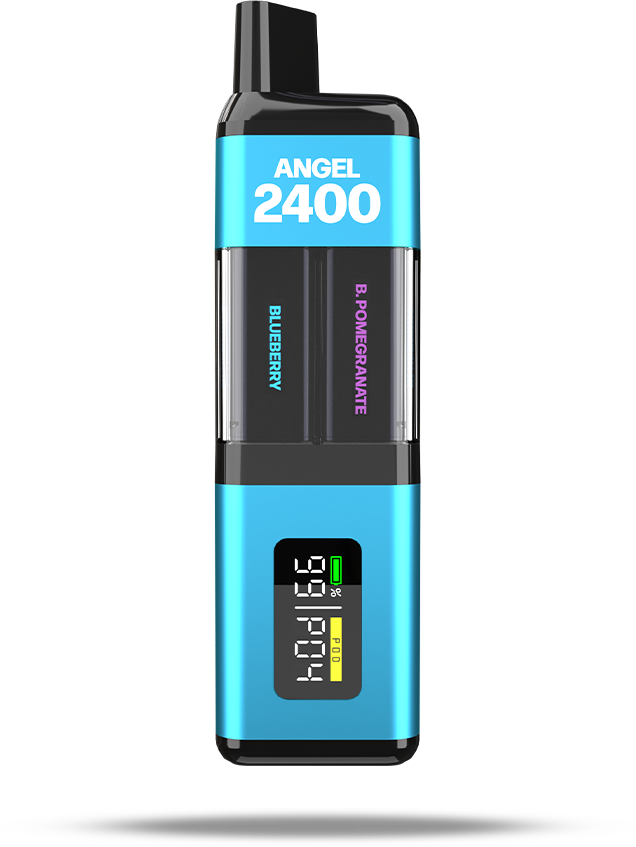 Angel® 2400 - Compact and Lightweight for Maximum Portability